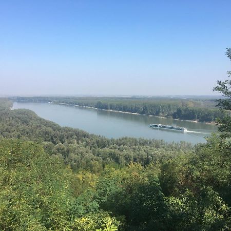 Villa Kuca Za Odmor Brzica Erdut Esterno foto