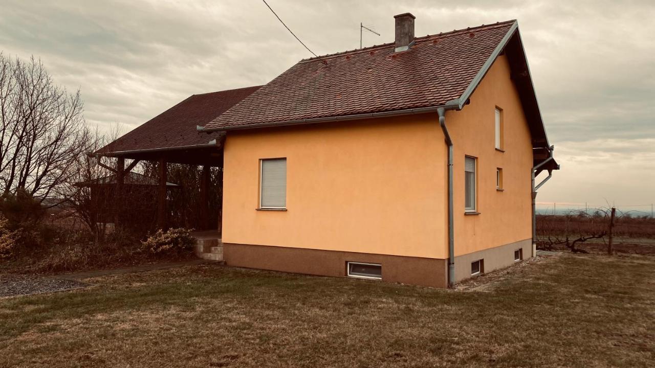 Villa Kuca Za Odmor Brzica Erdut Esterno foto