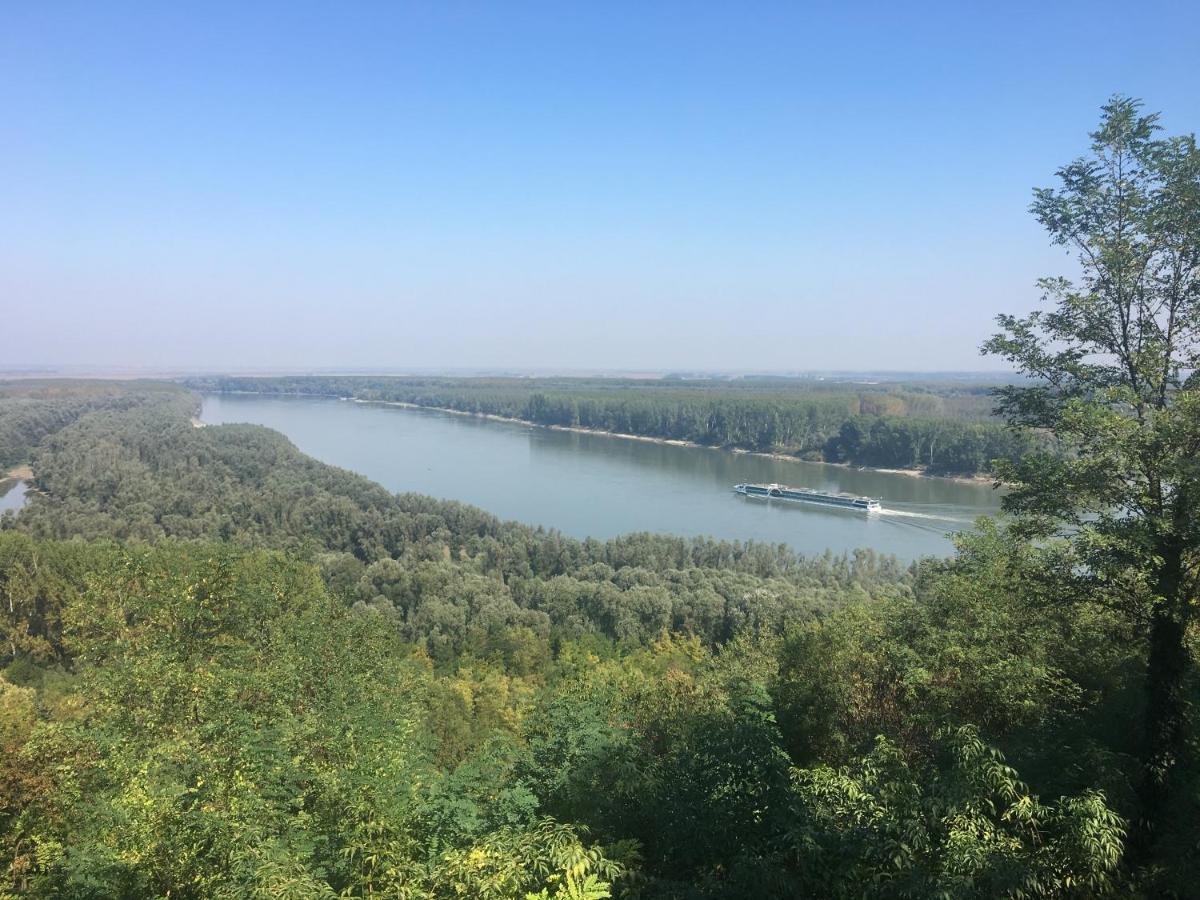 Villa Kuca Za Odmor Brzica Erdut Esterno foto