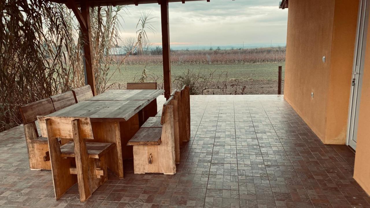 Villa Kuca Za Odmor Brzica Erdut Esterno foto